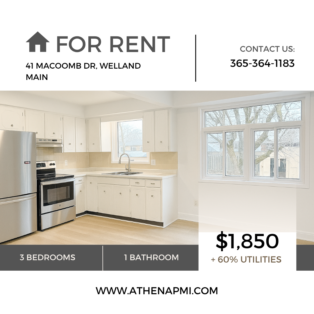 41 Macoomb Drive - Main