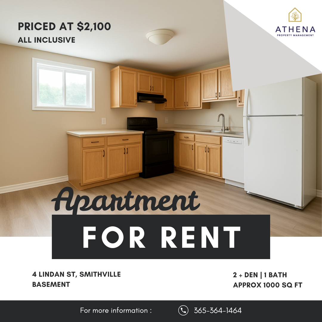 4 Lindan Street - Basement