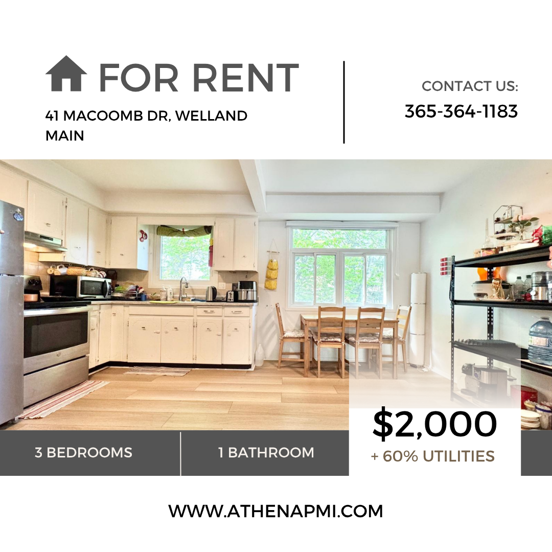 41 Macoomb Drive - Main