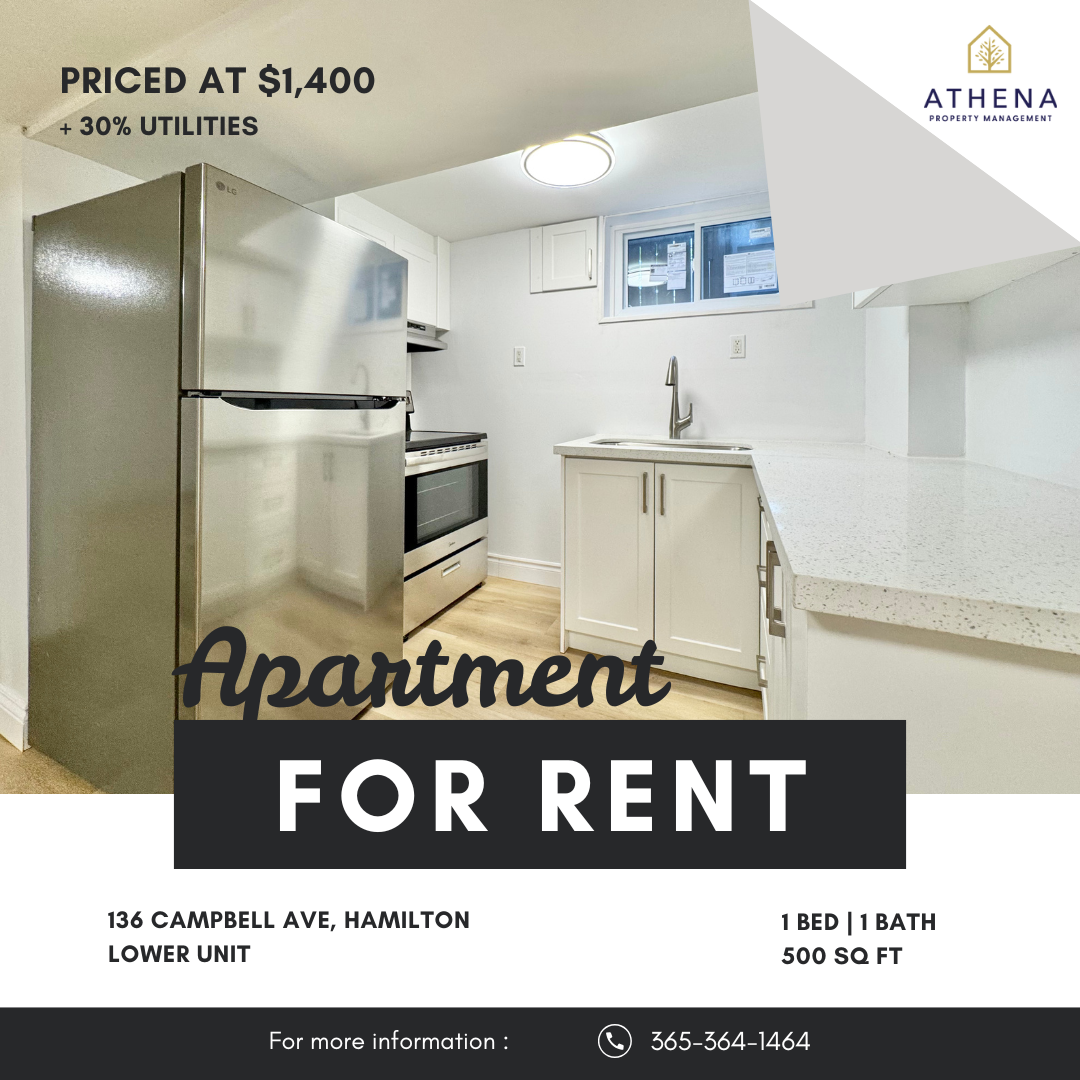 136 Campbell Avenue - Basement
