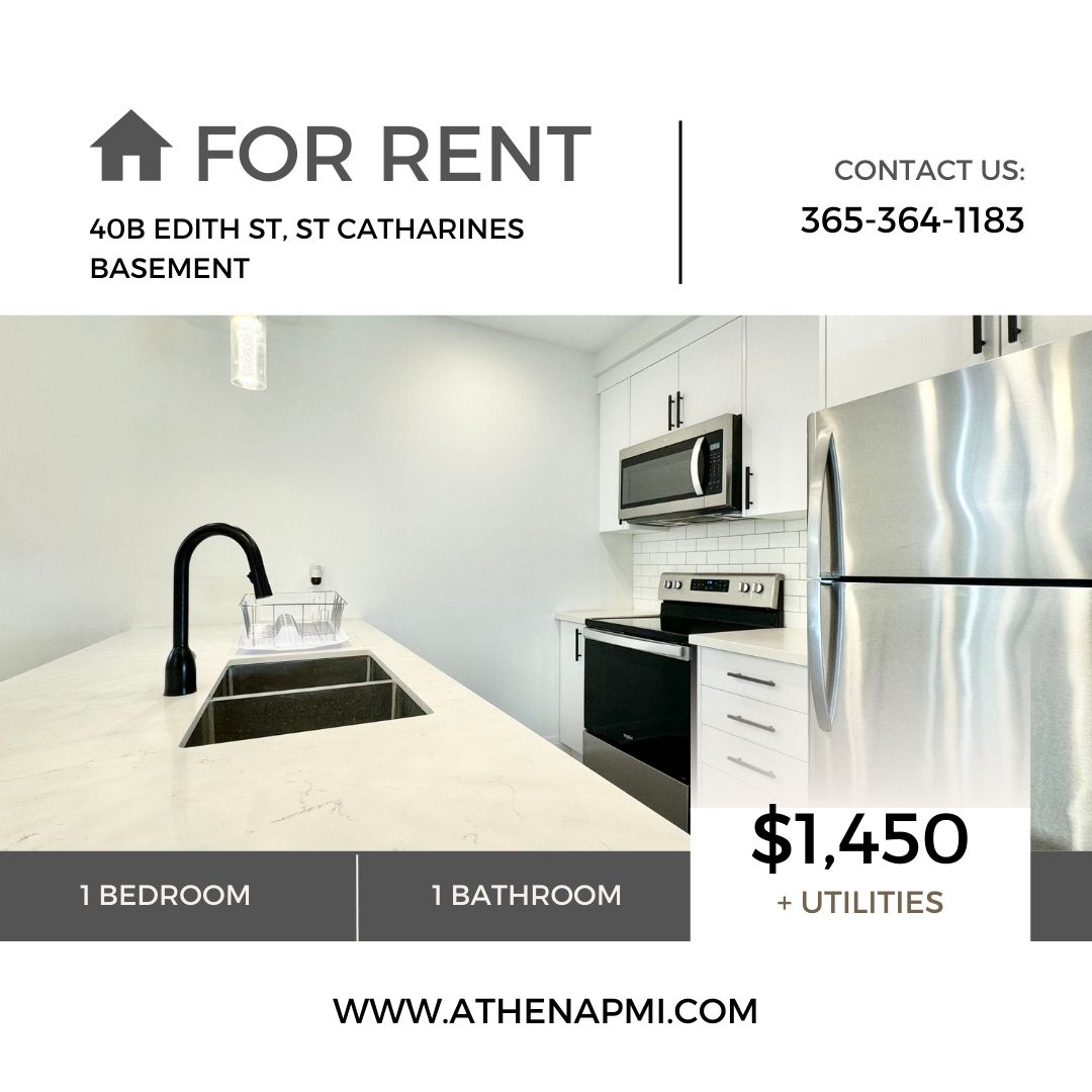 40B Edith Street - Basement