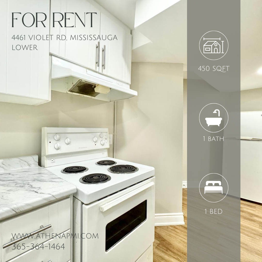 4461 Violet Road - Lower