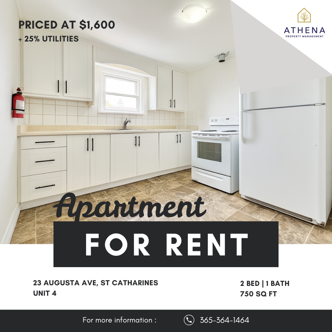 23 Augusta Avenue - 4