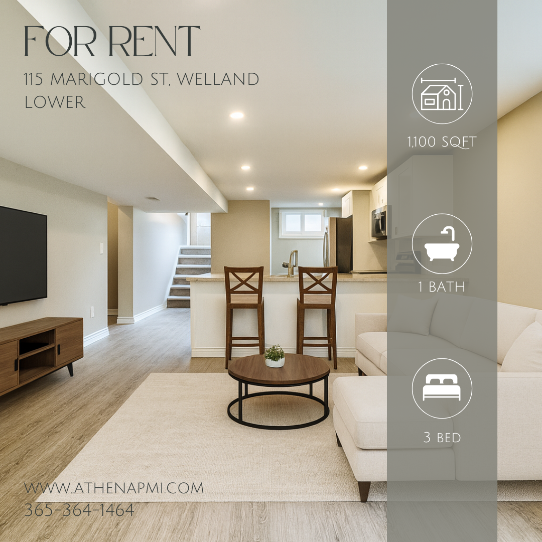 115 Marigold St - Lower