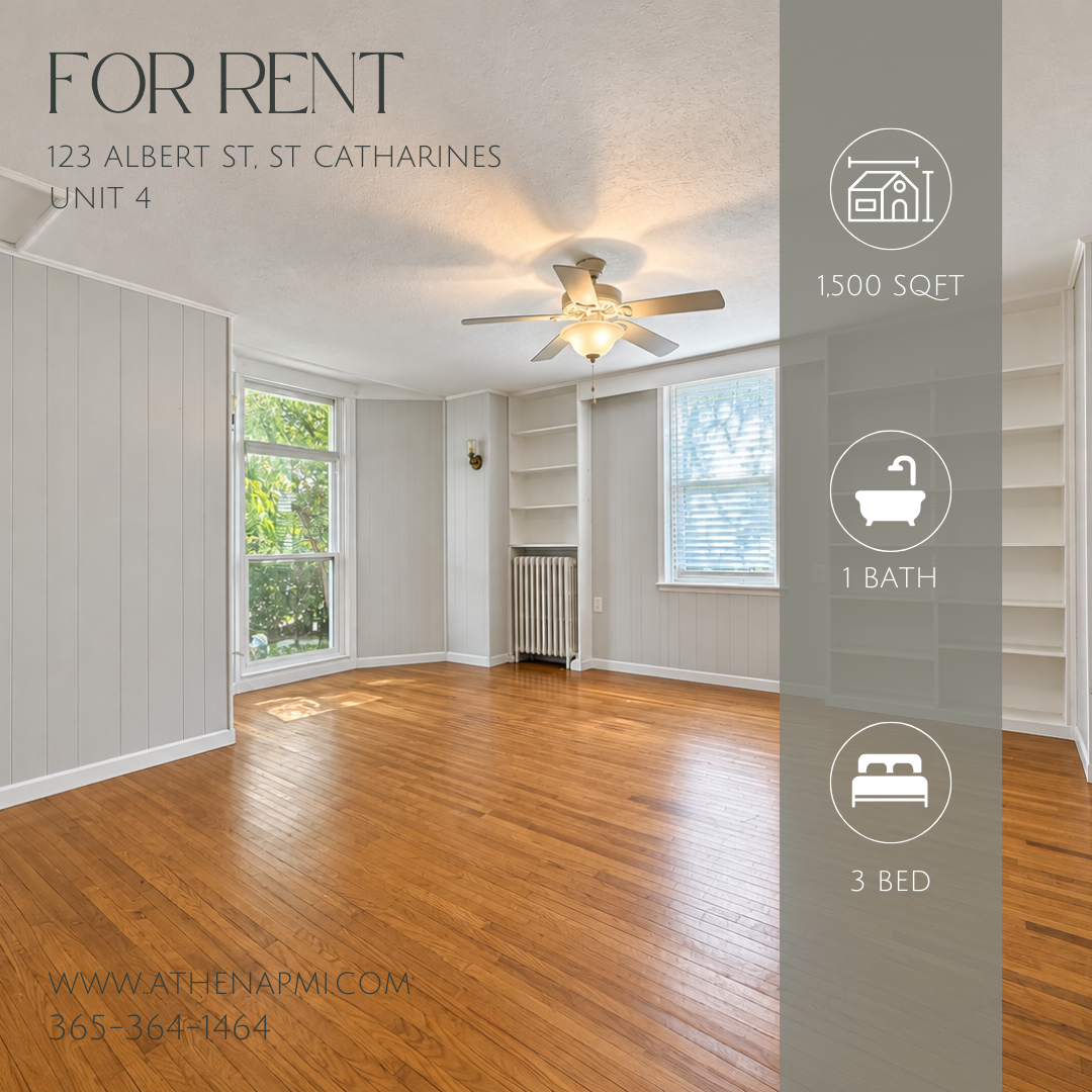 123 Albert Street - 4
