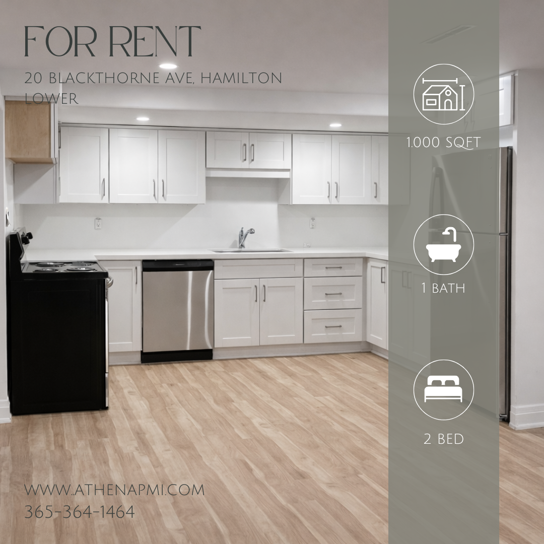 20 Blackthorne Avenue - Basement